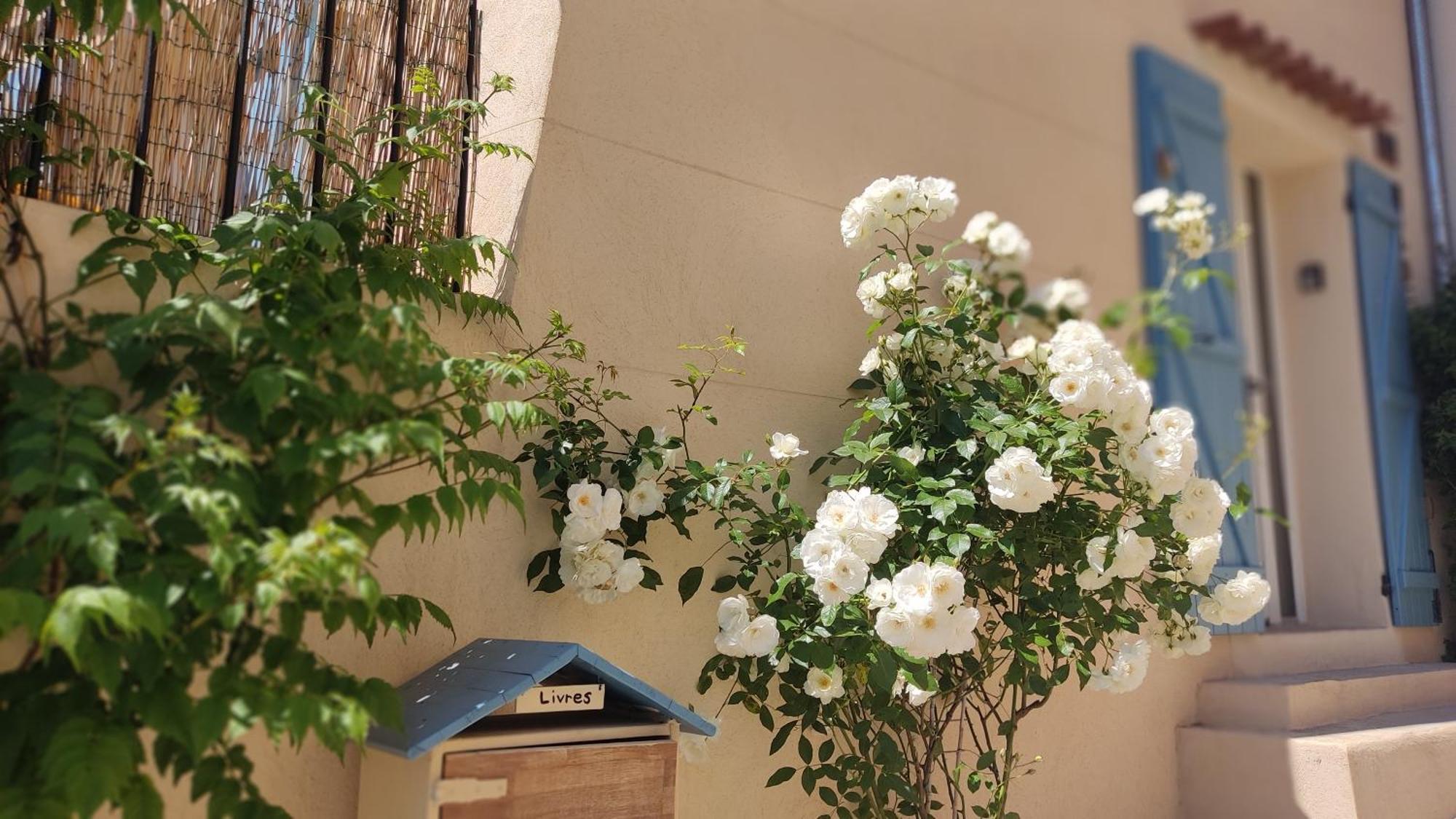 Petite Pause A Pourrieres, Appartement 40M2 Exterior foto